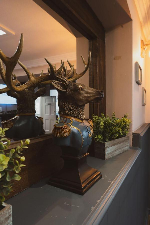 The Stag Hotel And Mailmans Arms Lyndhurst Ngoại thất bức ảnh